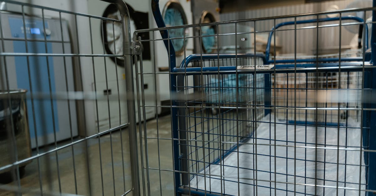 Enhancing Home Comfort with Eco-Friendly Laundry Practices