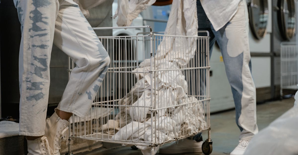 On-Demand Laundry Delivery Solutions for Households